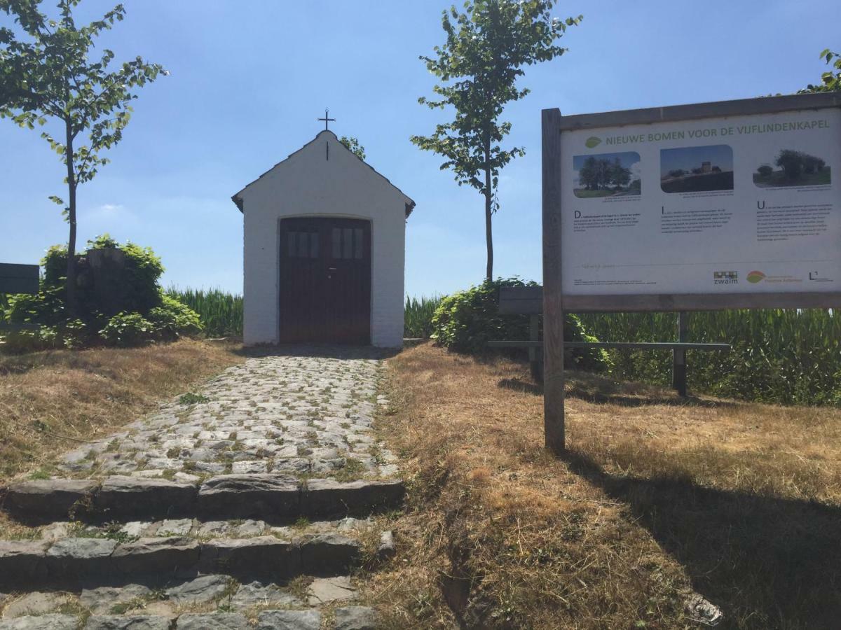 Vakantiehuis In Vlaamse Ardennen Zottegem Экстерьер фото