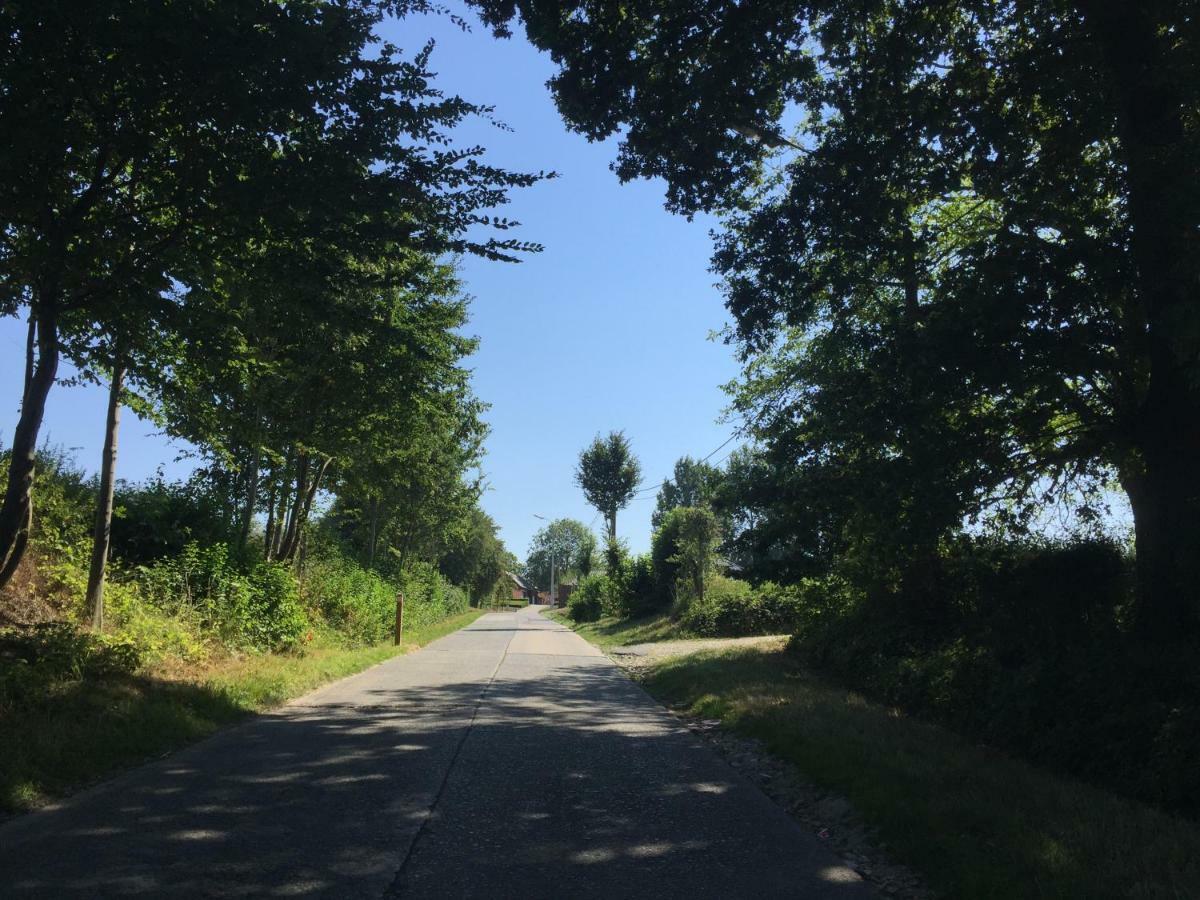 Vakantiehuis In Vlaamse Ardennen Zottegem Экстерьер фото